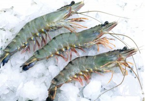 Sự thật đằng sau câu hỏi 